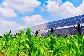 Solar Farm